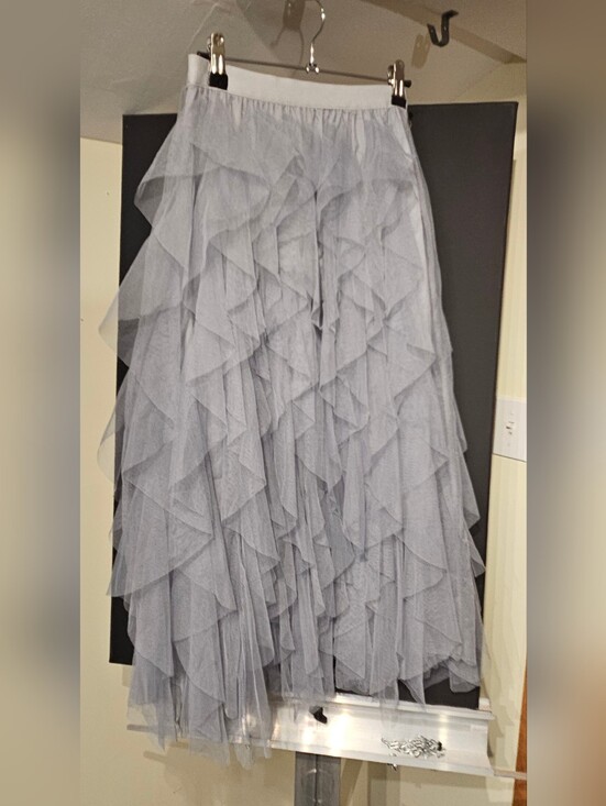 Chicwish Dresses & Skirts - Chicwish Light Gray Layered Tulle Skirt